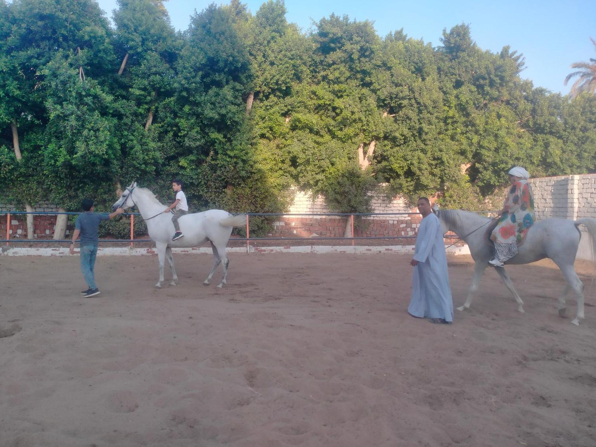 Seror Guest House El Hawamdeya Esterno foto